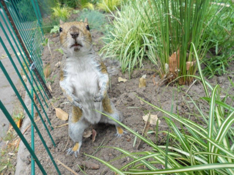 Kaapstad - The little things