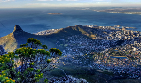 Rondreis van Johannesburg naar Kaapstad - Kaapstad