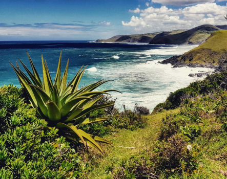 Rondreis van Johannesburg naar Kaapstad - Coffee Bay