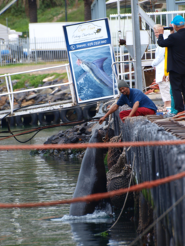 Rondreis van Johannesburg naar Kaapstad
