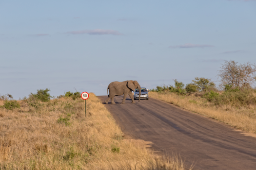 Rondreis van Johannesburg naar Kaapstad - Tempo wordt bepaald