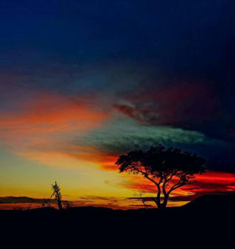 Rondreis van Johannesburg naar Kaapstad - Madikwe Game areserve