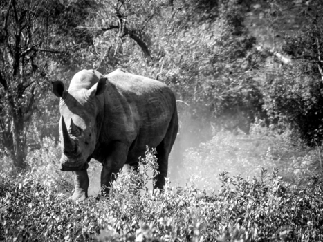 Rondreis Zuid-Afrika in drie weken - Blijven staan of doorrijden? 🤔