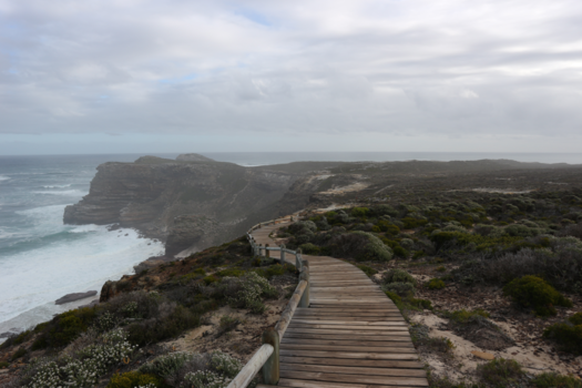 Kaap de Goede Hoop - The way to Cape of good hope!