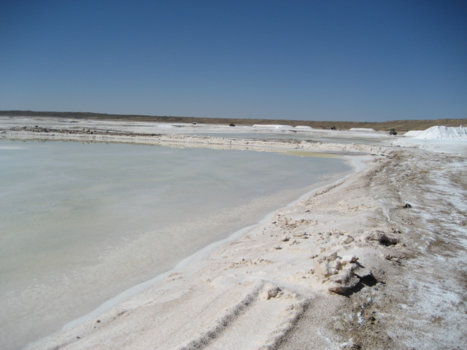 Rondreis van Johannesburg naar Kaapstad - verrassend Zuid Afrika !!