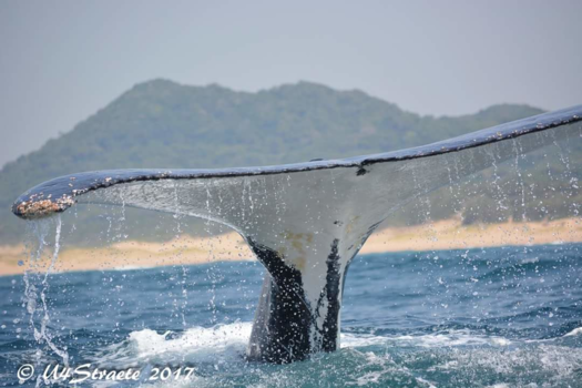 Rondreis Zuid-Afrika in drie weken - Saying goodbye