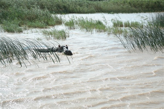 Rondreis Zuid-Afrika in drie weken - Nijlpaard in watergras
