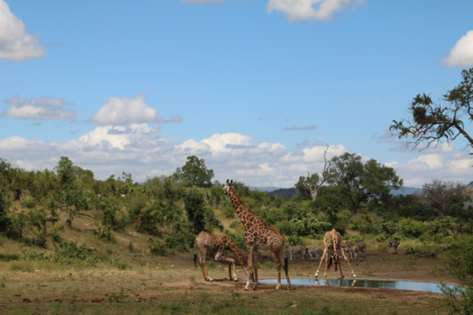 Rondreis Zuid-Afrika in drie weken - Lunchtijd