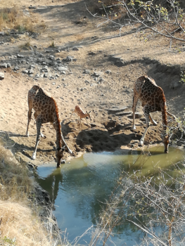 Rondreis van Johannesburg naar Kaapstad - Even drink pauze.