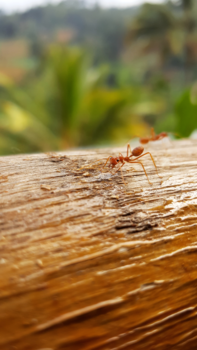 Jeffrey’s Bay - Ik was hier eerst😂😂