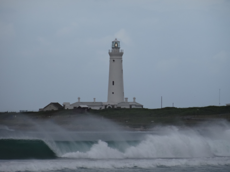 Rondreis Zuid-Afrika in drie weken - Port Elisabeth