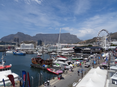 Rondreis Zuid-Afrika in drie weken - De leukste plek in Kaapstad
