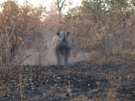 Krugerpark - Woest welkom