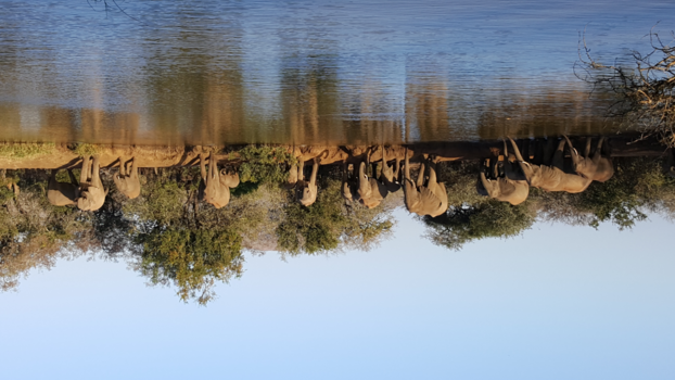 Rondreis Zuid-Afrika in twee weken - Impressed