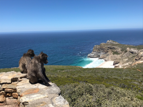 Rondreis Zuid-Afrika in drie weken - Oneindige uitzicht