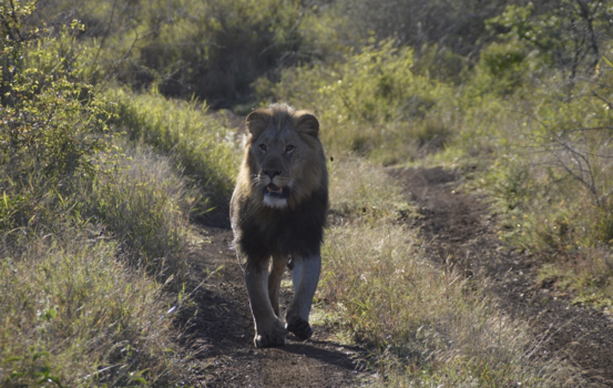 Rondreis van Johannesburg naar Kaapstad - Om 06.30 dit beeld... dat is de dag goed beginnen ! Zuid-Afrika