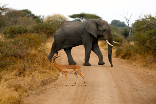 Rondreis van Johannesburg naar Kaapstad - onder weg op de rondreis