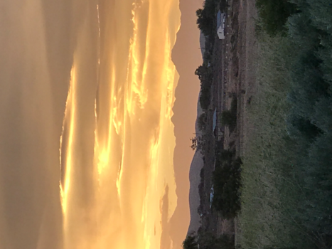 Rondreis van Johannesburg naar Kaapstad - Oudtshoorn sunset