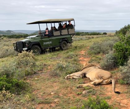 Rondreis van Johannesburg naar Kaapstad - Shamwari game reserve - 1 belgian got out to make this photo