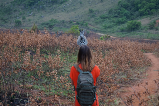 Rondreis Zuid-Afrika in drie weken - Well hello zebra!
