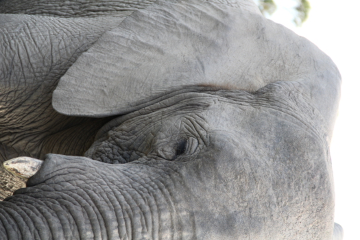 Rondreis van Johannesburg naar Kaapstad - Ruw maar heel zachtaardig