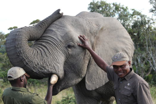 Rondreis van Johannesburg naar Kaapstad - Respect