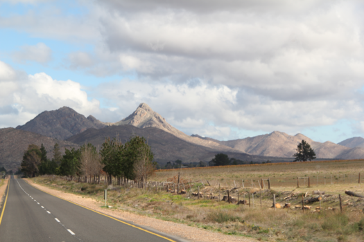 Rondreis van Johannesburg naar Kaapstad - Op weg naar Drakensbergen