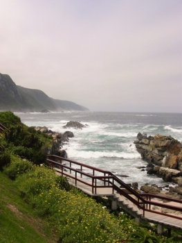Rondreis van Johannesburg naar Kaapstad - De garden route
