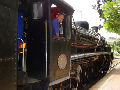 Rondreis van Johannesburg naar Kaapstad - Choo Tjoe trein Wildernis