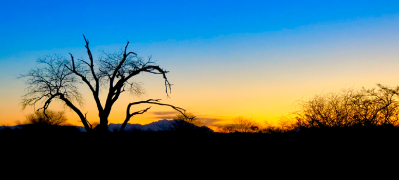 Krugerpark - Sunset in the wilderness