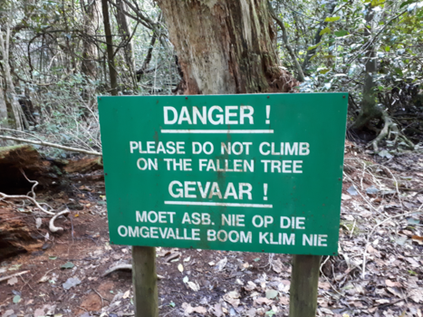 Rondreis van Johannesburg naar Kaapstad - De Zuid Afrikaanse taal.
