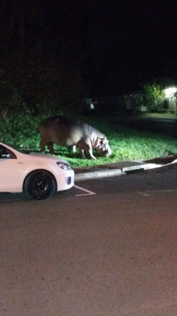 Rondreis van Johannesburg naar Kaapstad - Pizza eten