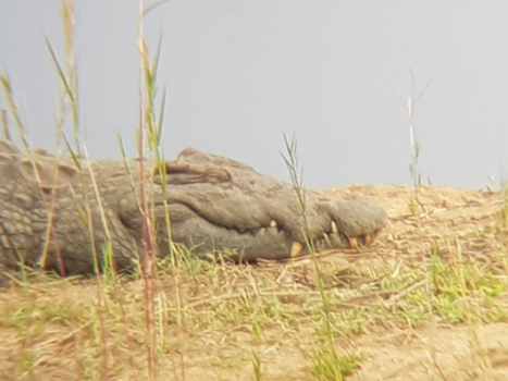 Rondreis van Johannesburg naar Kaapstad
