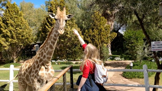 Oudtshoorn - Wanneer je meer dan je nek moet uitsteken