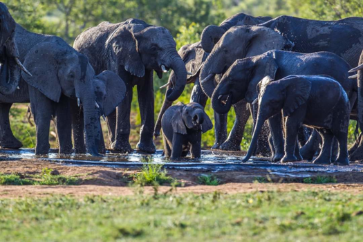 Rondreis van Johannesburg naar Kaapstad - Met de kids naar het zwembad