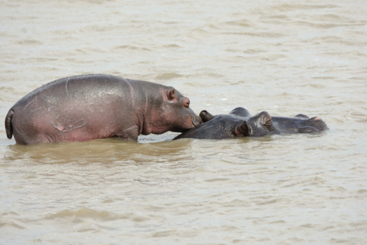 Rondreis Zuid-Afrika in drie weken - De liefde van Moeder natuur ;)