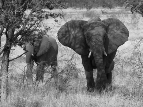 West-Kaap - Rond reis zuid afrika
