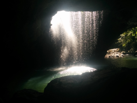 Sunshine Coast - Springbrook national Park sunshine coast Australie