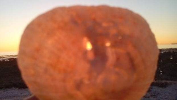 Kaapstad - zonsondergang gezien door de ogen van een (strand)schelp