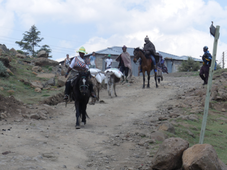 Lesotho - Lesotho