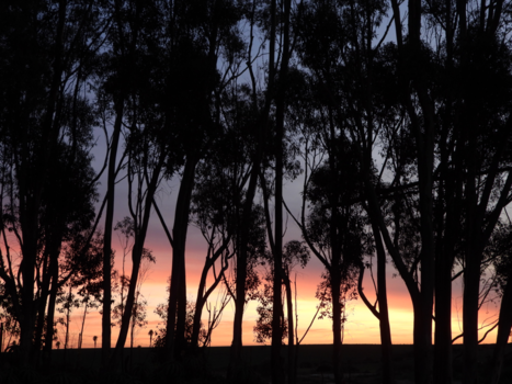 Rondreis van Johannesburg naar Kaapstad - Sundowner