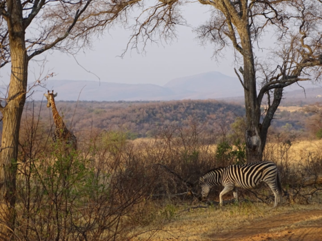 Mapungubwe National Park - Waterberg