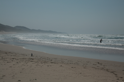 Rondreis Zuid-Afrika in drie weken - Bezoek aan de kust is een hele ervaring
