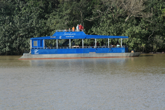 Rondreis Zuid-Afrika in drie weken - Of ga rondvaren op een rivier met krokodillen
