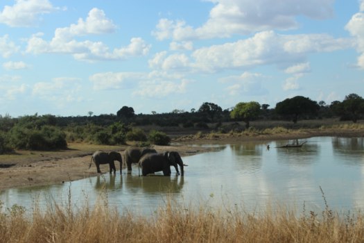 Krugerpark