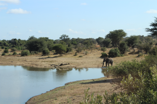 Krugerpark