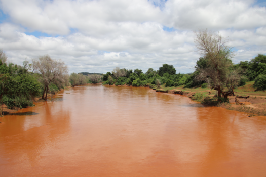 Krugerpark - schoonheid van de natuur