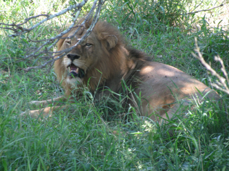 Rondreis van Johannesburg naar Kaapstad