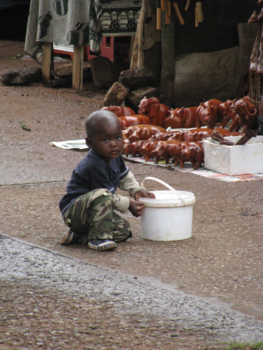 Rondreis van Johannesburg naar Kaapstad