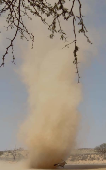 Kgalagadi Transfrontier Park - Zand tornado